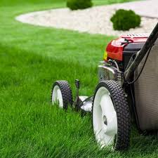 20 years serving east dallas, fully insured & bonded, professional crews specializing in residential lawn care, monthly billing, guaranteed mow day! Lawn Care Services Offered In Dallas Fort Worth Tx