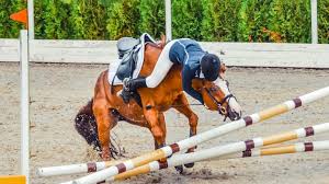 If you want to add horseback riding to your homesteading skills, read our guide. How To Overcome Riding Injuries Expert How To For English Riders
