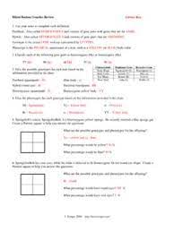 Spongebob genetics 2 + mvphip answer key spongebob genetics 2. Bikini Bottom Genetics Name Incomplete Dominance Use Bikini Bottom Genetics Name Incomplete Dominance Use Pdf Pdf4pro