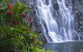 Free Download Animated Desktop Wallpapers Nature Desktop Background Nature Waterfall Wallpaper Hd Nature Wallpapers