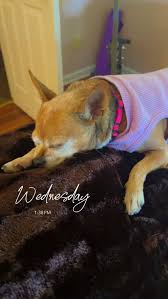 Hey sweet friends!! I been...