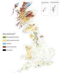 Habitat the place where something or someone lives. Semi Natural Habitat Natural Capital Accounts Uk Office For National Statistics