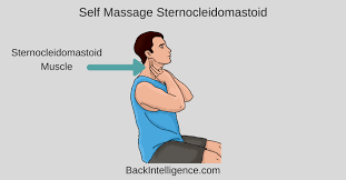How To Fix Forward Head Posture Fast 5 Exercises And Stretches Forward Head Posture Daily Exercise Routines Posture Correction Exercises
