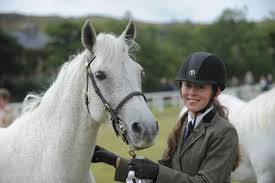 Connemara Pony Breeders' Society