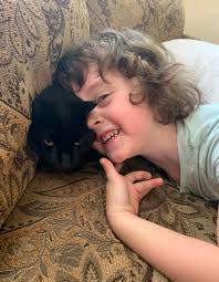 Cat as Perfect Security