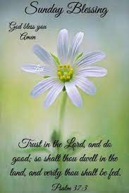 God bless your day with smile, laughter. 16 Sunday Blessings Ideas Happy Sunday Quotes Blessed Sunday Sunday