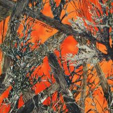 Check spelling or type a new query. 49 Orange Camo Wallpaper On Wallpapersafari