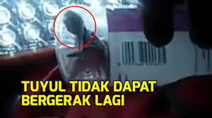 Berbicara seputar link video viral bangladesh yang saat ini sedang menjadi trending topik hingga telah terbukti memenuhi mesin. Viral Video Tuyul Ditangkap Warga Dan Dimasukan Dalam Botol Indonesia News Feed