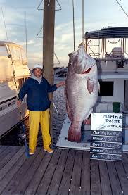 Biggest Fish Ever Caught Sport Fishing Magazine