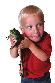 The MARA Appliance T