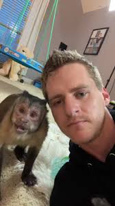 And the rest is history 😅🐵 #monkey #george #georgieboy #theoffice