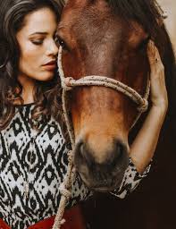 10 Things Your Vet Wants You To Know About Banamine Southern Equine Service
