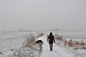 Nlprofiel is een samenwerkingsverband tussen dpg media, mediahuis nederland en rtl nederland waarbij partijen gezamenlijk groepsprofielen samenstellen en gebruiken voor advertentiedoeleinden. Ruxnn5w Fwciym