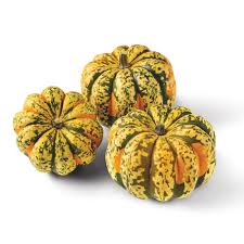 Image result for carnival acorn squash