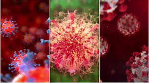 COVID-19 Case Reporting