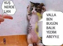 En Komik Sozler Home Facebook