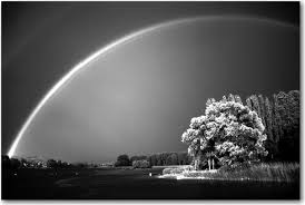 Free download 41 best quality black and white rainbow drawing at getdrawings. A Rainbow In Black And White Love Letter Daily