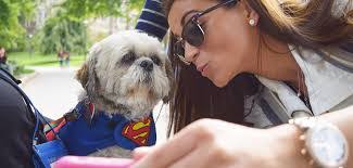 Jill Arendt's Instagram, Twitter & Facebook