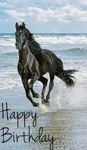 It can be funny or whatever you like to wish a happy birthday to someone! 24 Best Happy Birthday Horse Picture Ideas Happy Birthday Horse Horse Pictures Happy Birthday