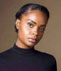 60 Easy And Showy Protective Hairstyles For Natural Hair To Try Asap Protective Hairstyles For Natural Hair Protective Hairstyles Natural Hair Puff