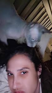 Raw is doing hair today if anyone needs they hair did... she is a bit  unsanitary because I have caught her a few times using her own spit to wet  my hair 🤢. , She also doesnt let others work