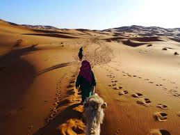 Marrakech camel trips s.a.r.l tours is a company that organizes a large variety of desert tours. Luxury Tours Morocco Morocco Luxury Desert Camps Morocco Heritage Travel