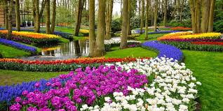 Keukenhof Blumenpark In Amsterdam Best Family Vacations Beautiful Gardens Day Trips From Amsterdam