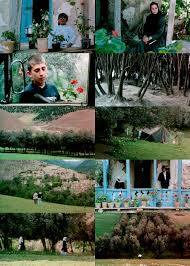 Through the olive trees quotes. 210 Abbas Kiarostami Ideas