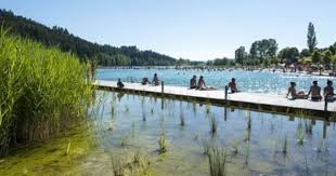 epingle sur baignade nyon