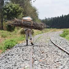 Epic savings on gold coast holiday packages & deals, when you bundle a hotel and flight with wotif. Tales From Hell For The Guards At Kakuzi It S Sex For Firewood Nation