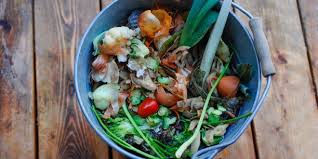 7 Fruit Veggie Scraps That Are Actually Good For You Www Thenutritionwatchdog Com Benefits Of Organic Food Healthy Dog Food Recipes Organic Recipes