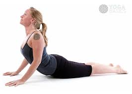 Cobra Yoga Poses For Beginners Yoga Poses Poses
