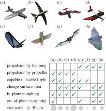 This is bad news for the robot industry as parnoia is sure to spread across the capital. Inspiration For Wing Design How Forelimb Specialization Enables Active Flight In Modern Vertebrates Journal Of The Royal Society Interface