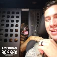 Dog that served our nation is reunited with its former Air Force handler:  'It's been a blessing'