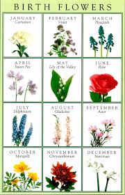 Birth Month Flower Chart Birth Flowers Birth Flower Tattoos Birth Month Flowers Flower Bouquet Tattoo