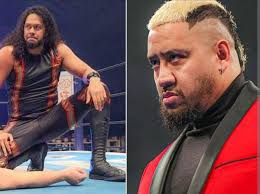 Hikuleo helps Solo Sikoa win championship