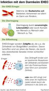 Bakterielle Darmerkrankungen Gesundheitsberater Berlin