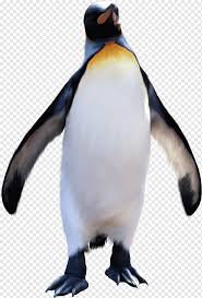 Download free penguin png png with transparent background. Penguin Png Images Pngwing