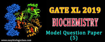 Pin On Gate Xl Solved Papers