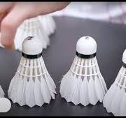 Which is the best Yonex feather badminton shuttlecock/shuttle?