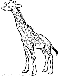 Gambar gajah kartun hitam putih. Contoh Gambar Mewarnai Gambar Jerapah Kataucap