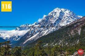 Yumthang valley of flowers best time to visit. Yumthang Valley Of Flowers Best Time To Visit In 2020