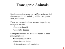 Applications of animal transgenesis may be divided into three major categories: Transgenic Organisms A Transgenic Organism Is One Into Which A Gene From Some Other Species Has Been Transferred Transgenic Organisms Are Examples Of Ppt Download