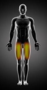 Comme chaque été, un œdème vous gâche la vie. Douleur De La Cuisse Symptomes Traitement Definition Docteurclic Com