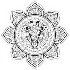 A mandala is a circular picture, diagram or artwork that originated in hindusim and buddhism. Mandalas With Animals 100 Mandalas Zen Anti Stress