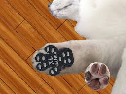 Pin On Pets