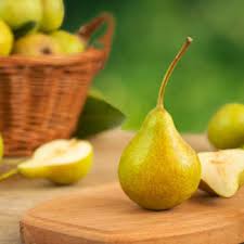 Memasuki usia 8 bulan, bayi perlu dikenalkan dengan tekstur makanan yang lebih padat seperti mpasi untuk usia 8 bulan ini, pure pir kasar . 4 Resep Mpasi Buah Apel Yang Praktis Dan Bernutrisi