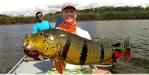 Brazil Peacock Bass Fishing with Ron Speed Jr s Adventures Ron