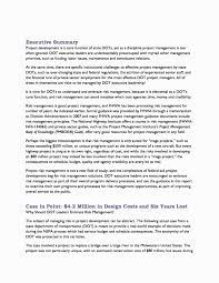 Pin By Steve On Mẹo Executive Summary Template Senior Management Executive Summary Example