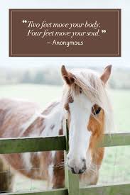 Two Feet Move Your Body Four Feet Move Your Soul 40 Inspiring Quotes That Will Make You Appreciate Life S Simple Pleasures Horses Pretty Horses Beautiful Horses